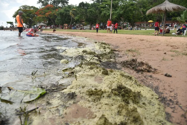 Lago Ypacaraí: &#34;Es como bañarse en un inodoro&#34;, advierte directora del Mades